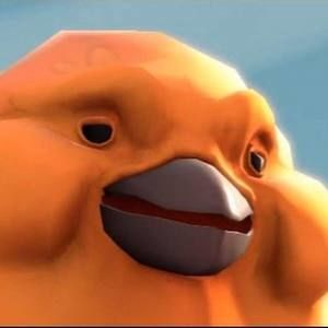 Meet your Posher, Owen